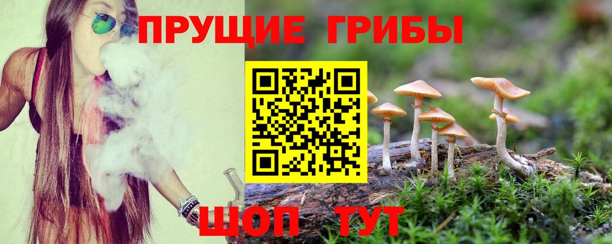 Галлюциногенные грибы мухоморы Азнакаево