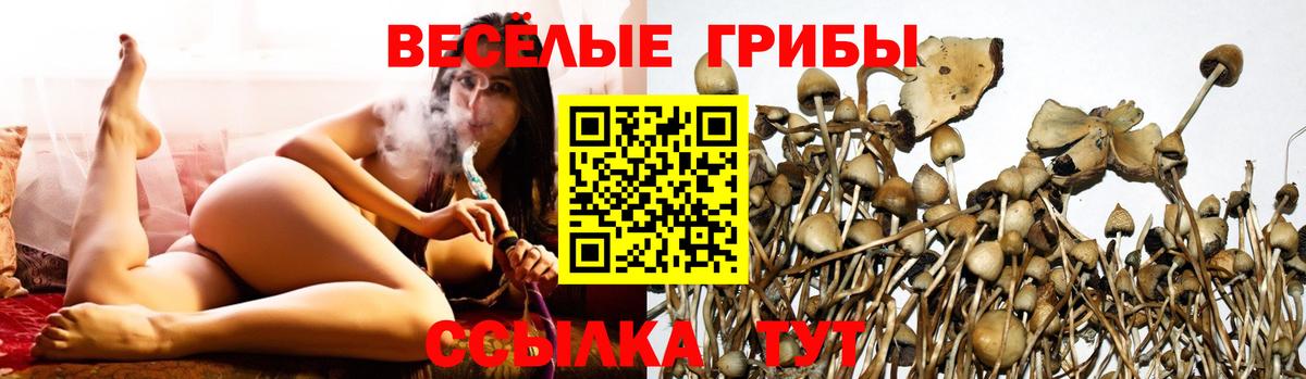 цена   Вход с VPN  Азнакаево  Псилоцибиновые грибы мухоморы 
